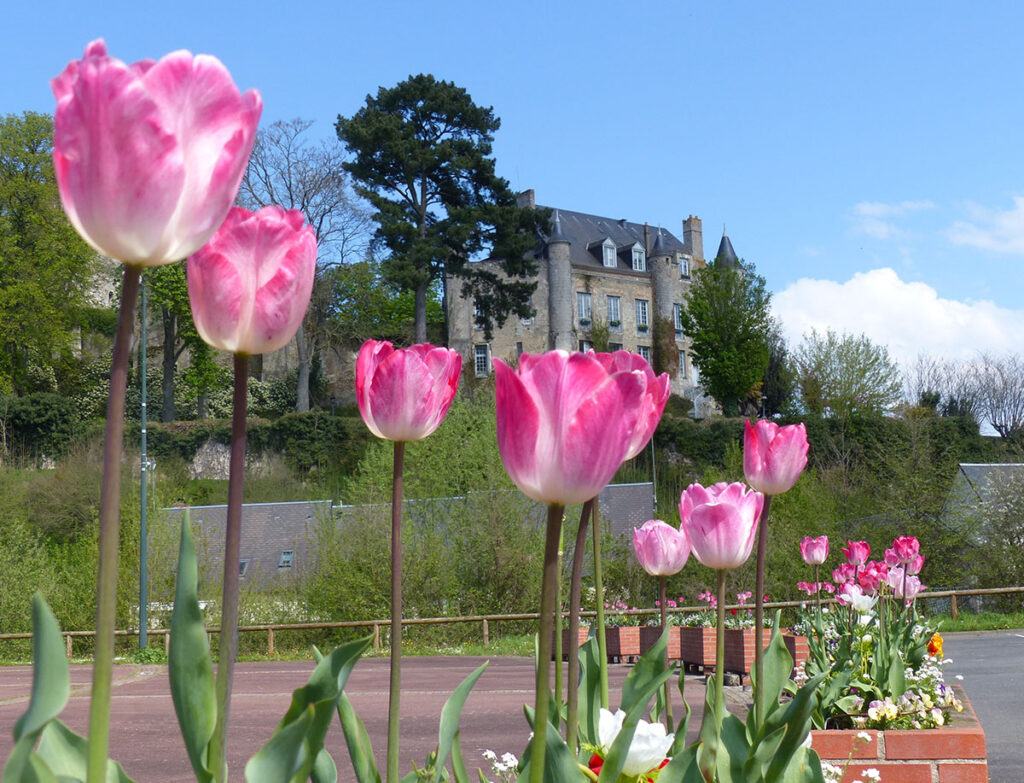 Château-Renault, ville fleurie