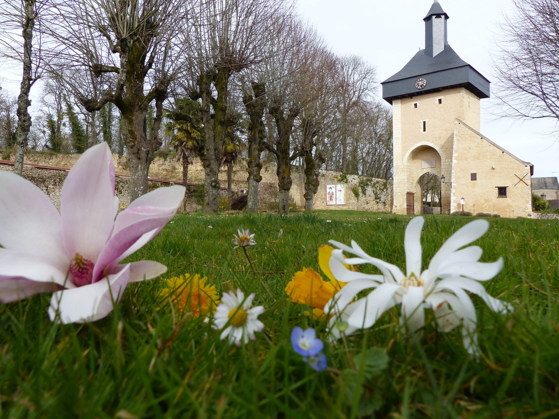 Château-Renault, Ville nature