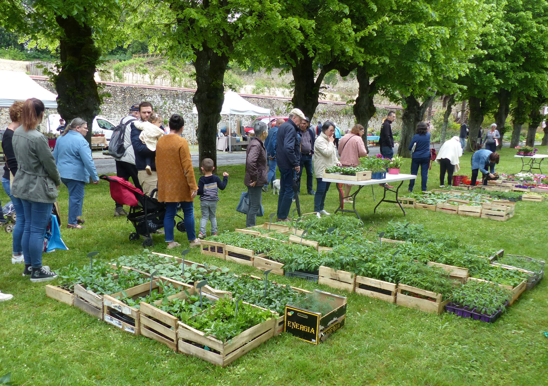 marché aux plantes